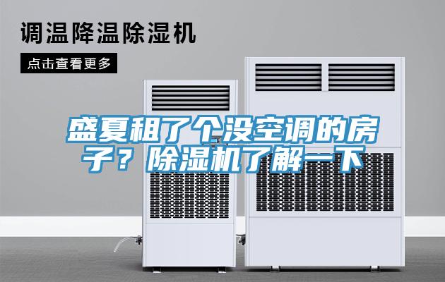 盛夏租了個沒空調的房子？蘑菇视频网站了解一下