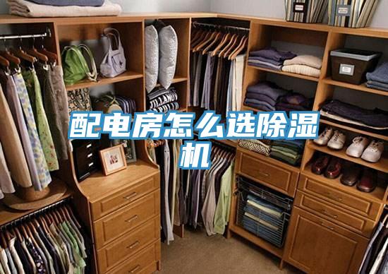 配電房怎麽選蘑菇视频网站