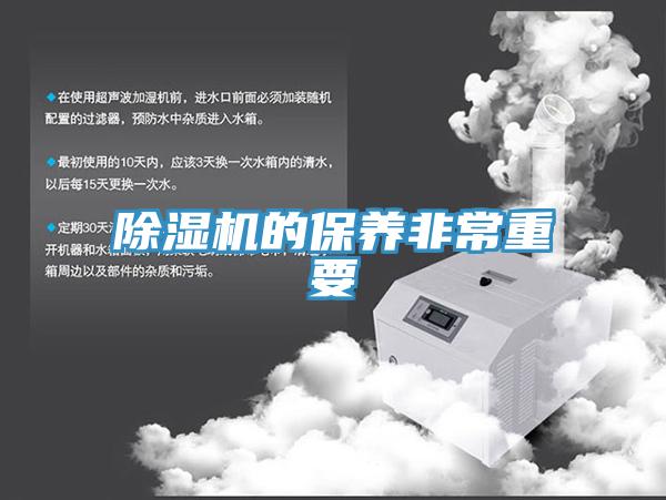 蘑菇视频网站的保養非常重要