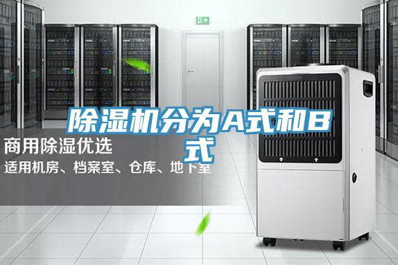 蘑菇视频网站分為A式和B式