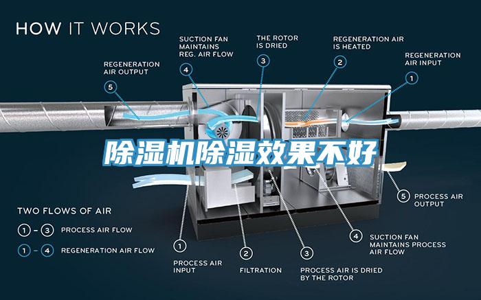 蘑菇视频网站除濕效果不好
