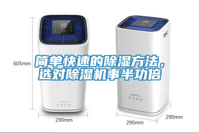 簡單快速的除濕方法，選對蘑菇视频网站事半功倍