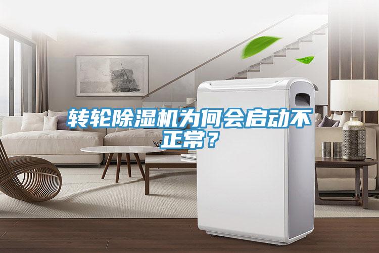轉輪蘑菇视频网站為何會啟動不正常？