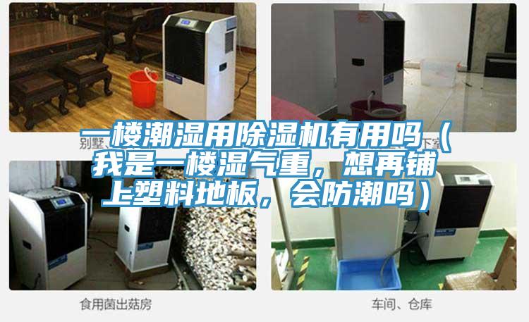 一樓潮濕用蘑菇视频网站有用嗎（我是一樓濕氣重，想再鋪上塑料地板，會防潮嗎）