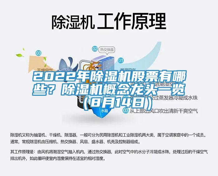 2022年蘑菇视频网站股票有哪些？蘑菇视频网站概念龍頭一覽（8月14日）