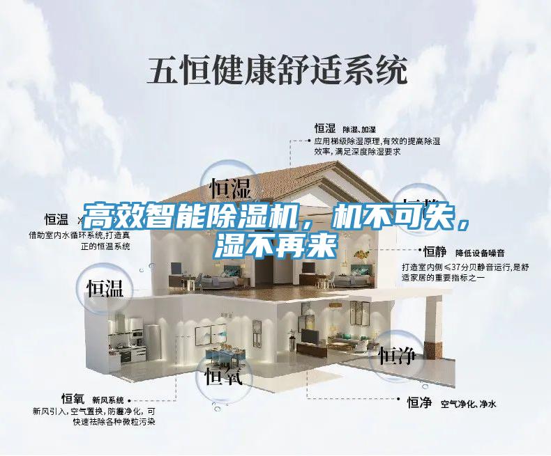高效智能蘑菇视频网站，機不可失，濕不再來
