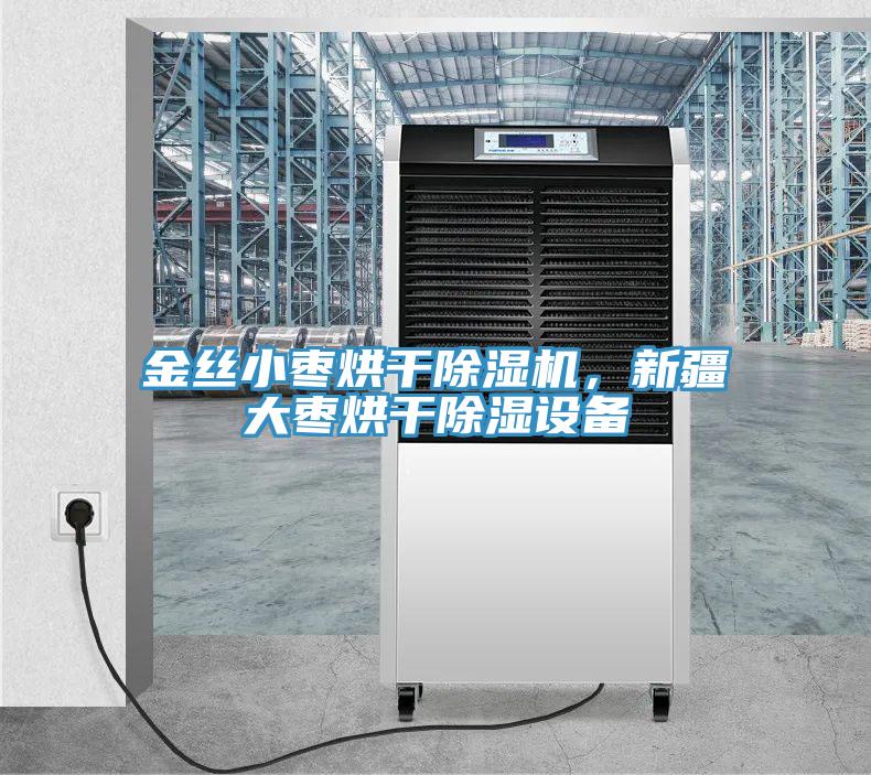 金絲小棗烘幹蘑菇视频网站，新疆大棗烘幹除濕設備