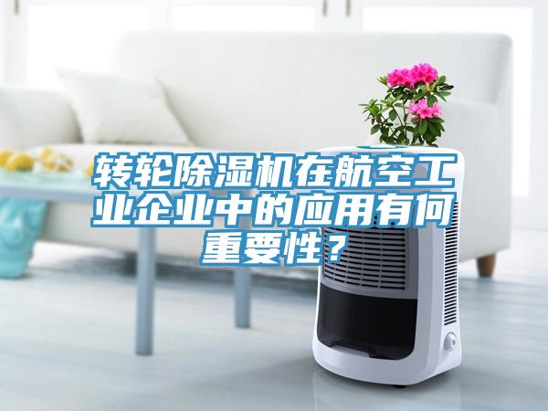 轉輪蘑菇视频网站在航空工業企業中的應用有何重要性？