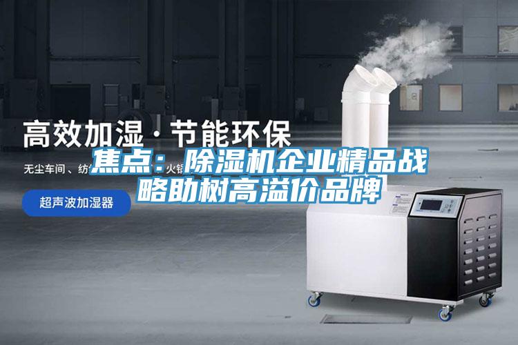 焦點：蘑菇视频网站企業精品戰略助樹高溢價品牌