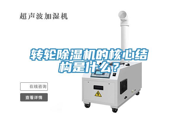 轉輪蘑菇视频网站的核心結構是什麽？