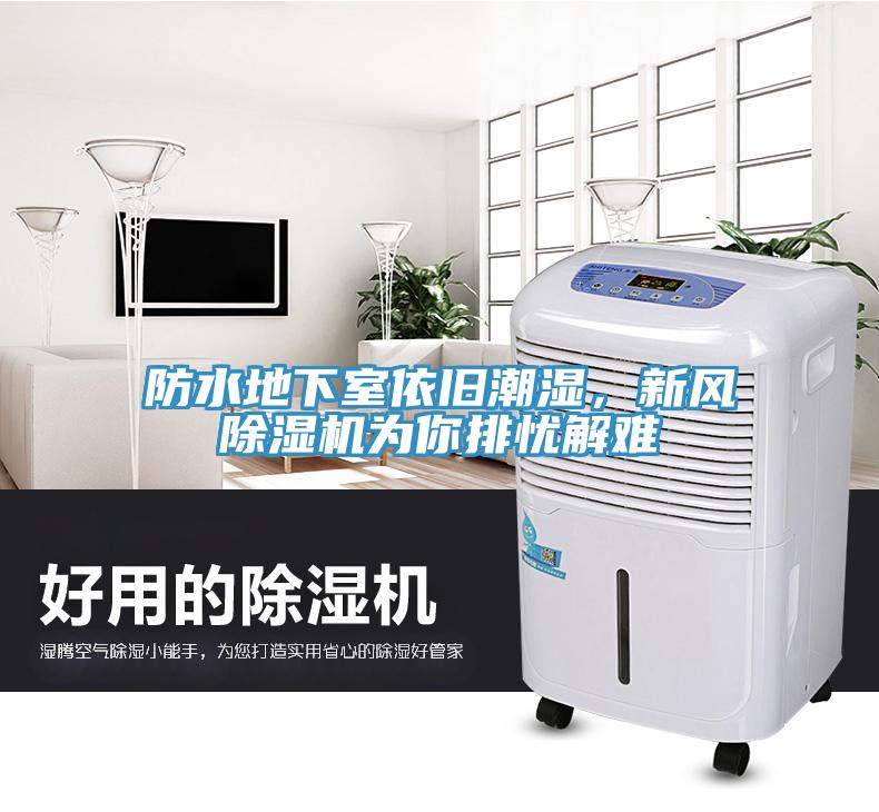 防水地下室依舊潮濕，新風蘑菇视频网站為你排憂解難