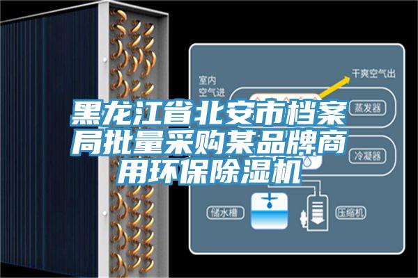 黑龍江省北安市檔案局批量采購某品牌商用環保蘑菇视频网站