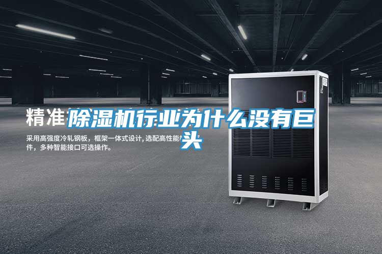 蘑菇视频网站行業為什麽沒有巨頭