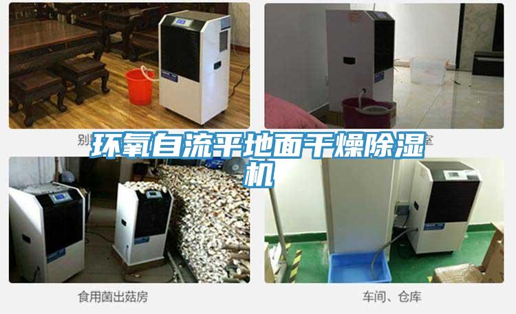 環氧自流平地麵幹燥蘑菇视频网站