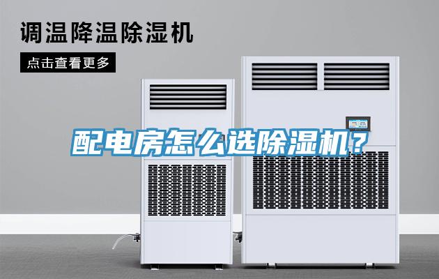 配電房怎麽選蘑菇视频网站？