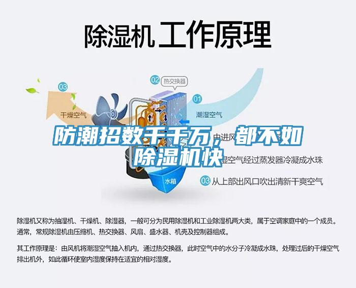 防潮招數千千萬，都不如蘑菇视频网站快