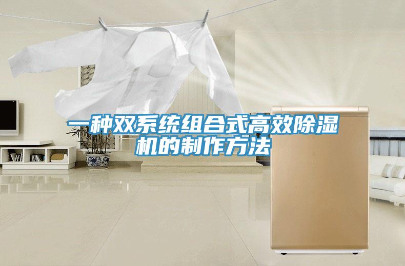 一種雙係統組合式高效蘑菇视频网站的製作方法