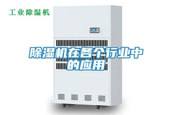 蘑菇视频网站在各個行業中的應用