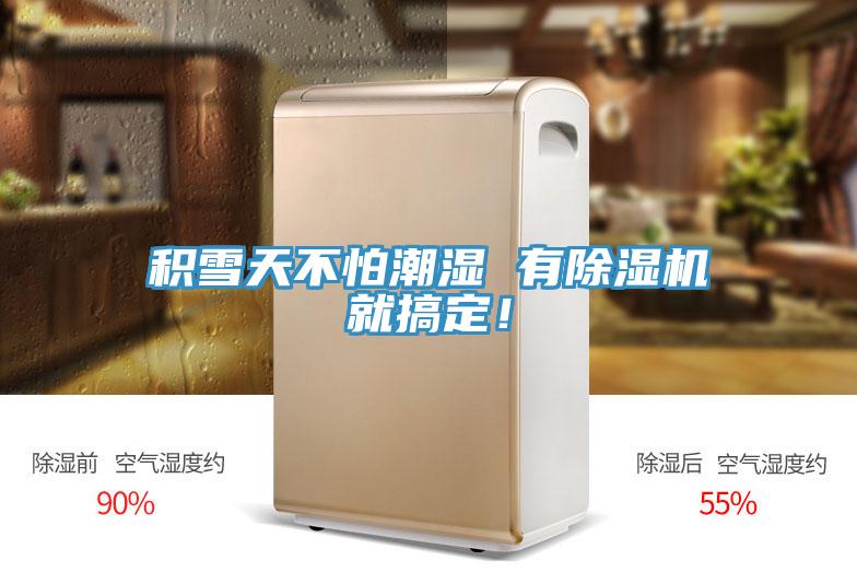 積雪天不怕潮濕 有蘑菇视频网站就搞定！