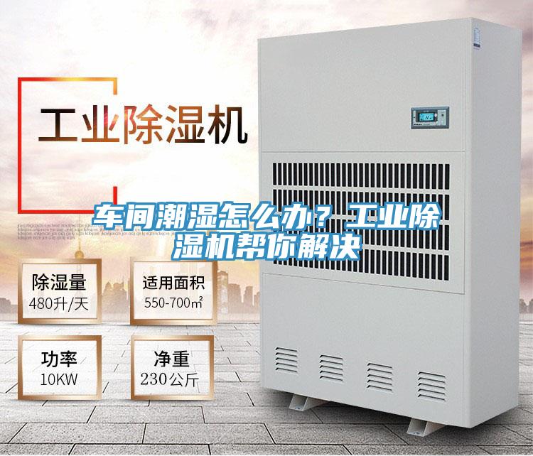 車間潮濕怎麽辦？工業蘑菇视频网站幫你解決