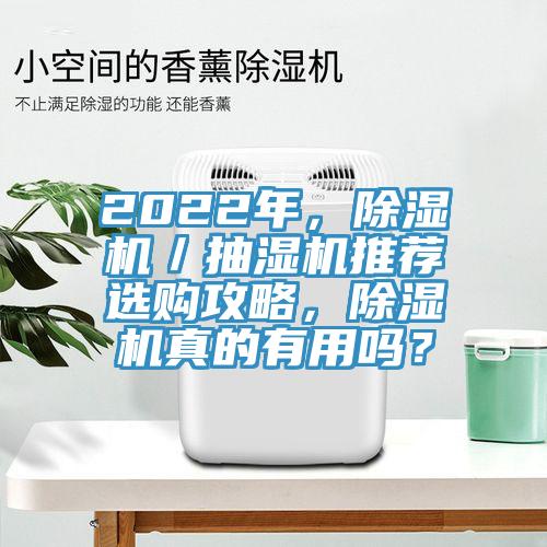2022年，蘑菇视频网站／抽濕機推薦選購攻略，蘑菇视频网站真的有用嗎？