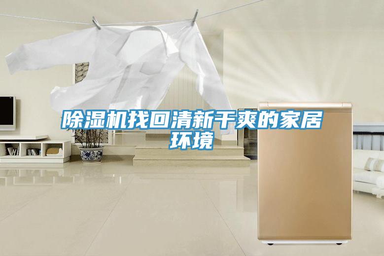 蘑菇视频网站找回清新幹爽的家居環境