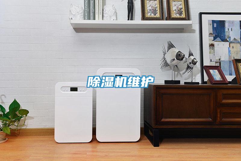 蘑菇视频网站維護