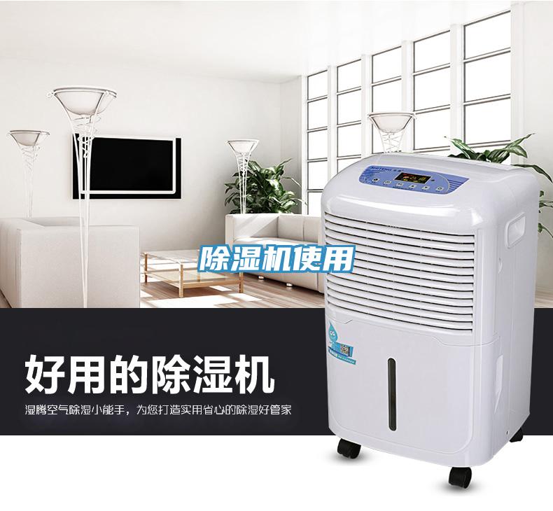 蘑菇视频网站使用
