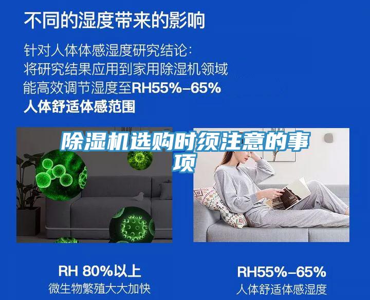 蘑菇视频网站選購時須注意的事項