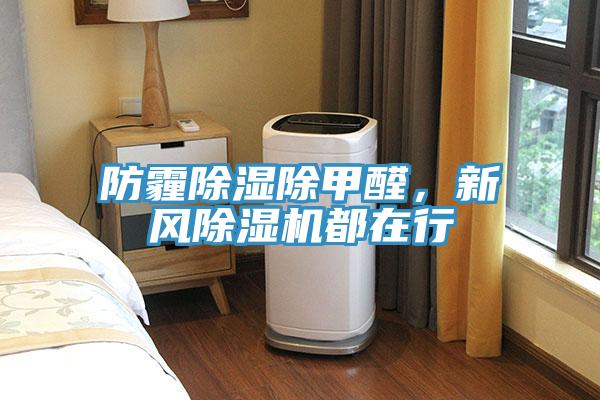 防霾除濕除甲醛，新風蘑菇视频网站都在行
