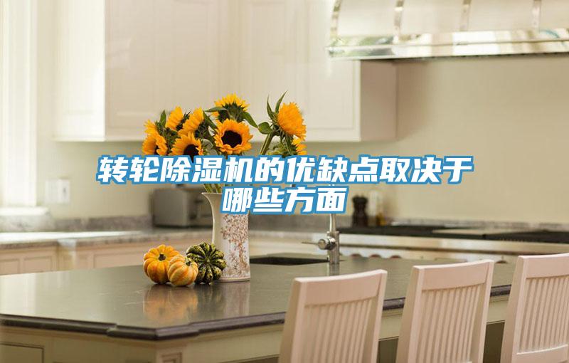 轉輪蘑菇视频网站的優缺點取決於哪些方麵