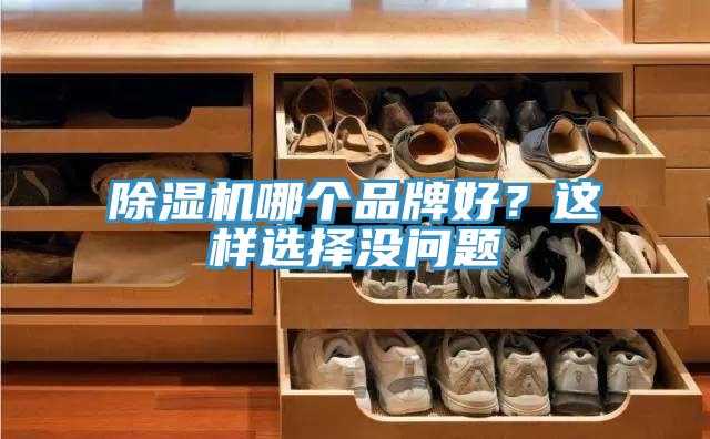 蘑菇视频网站哪個品牌好？這樣選擇沒問題