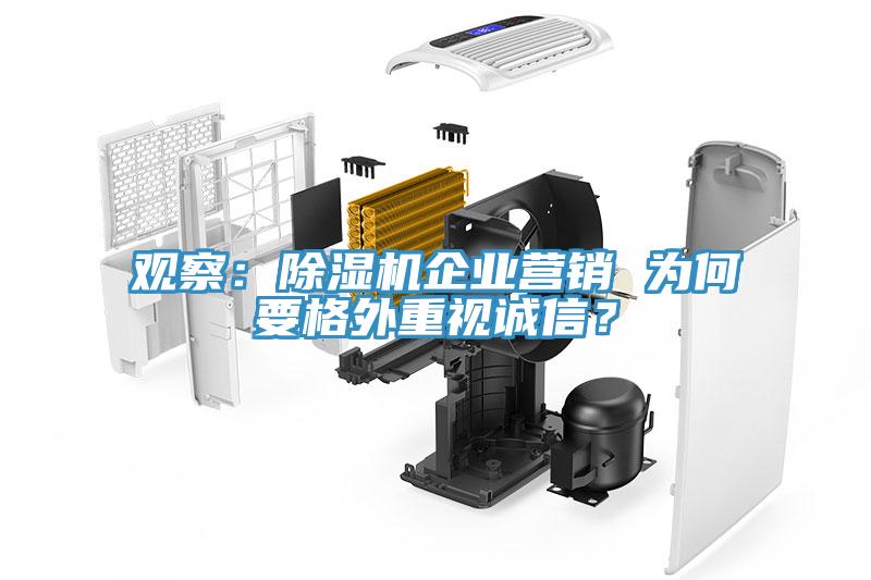 觀察：蘑菇视频网站企業營銷 為何要格外重視誠信？