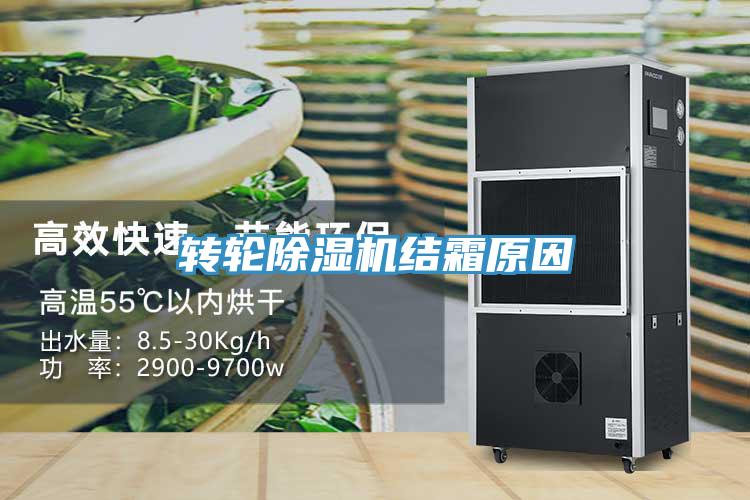 轉輪蘑菇视频网站結霜原因