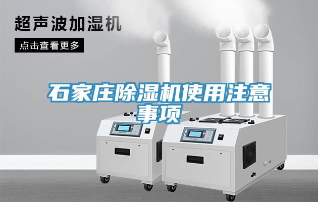 石家莊蘑菇视频网站使用注意事項