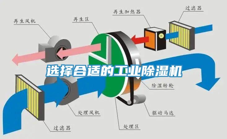選擇合適的工業蘑菇视频网站