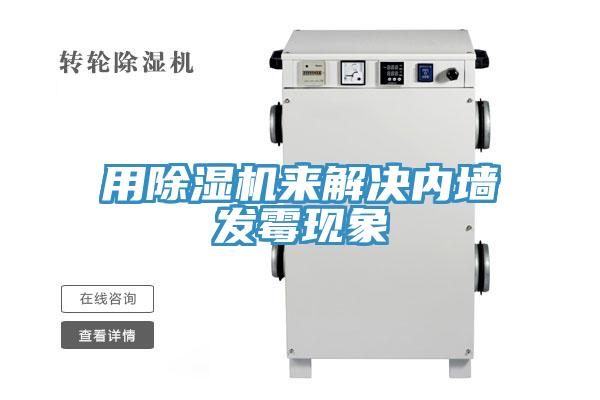 用蘑菇视频网站來解決內牆發黴現象