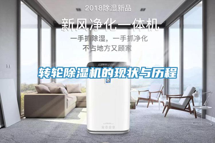 轉輪蘑菇视频网站的現狀與曆程