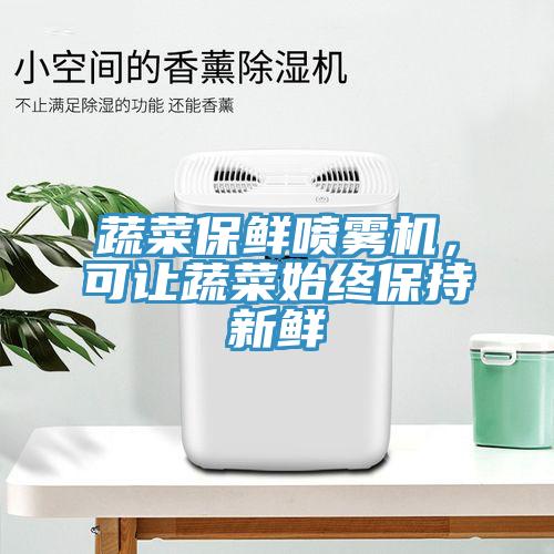 蔬菜保鮮噴霧機，可讓蔬菜始終保持新鮮