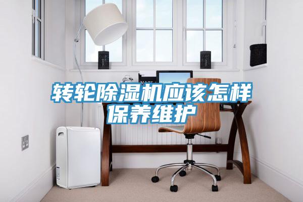 轉輪蘑菇视频网站應該怎樣保養維護