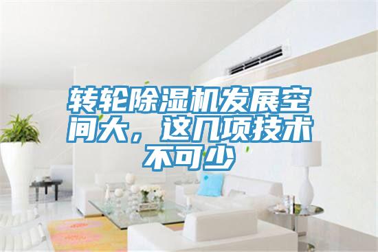 轉輪蘑菇视频网站發展空間大，這幾項技術不可少