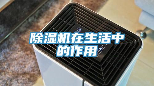 蘑菇视频网站在生活中的作用