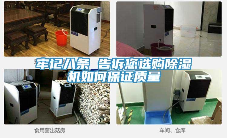 牢記八條 告訴您選購蘑菇视频网站如何保證質量
