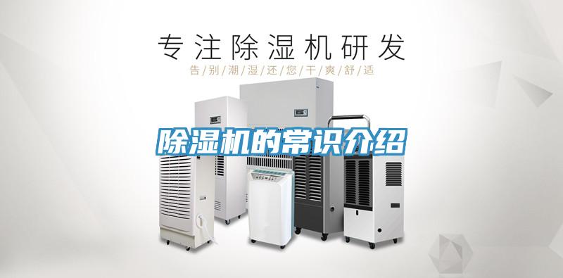 蘑菇视频网站的常識介紹