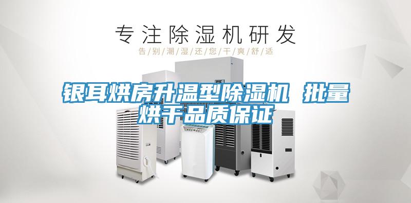 銀耳烘房升溫型蘑菇视频网站 批量烘幹品質保證