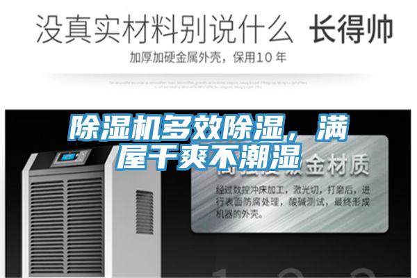 蘑菇视频网站多效除濕，滿屋幹爽不潮濕