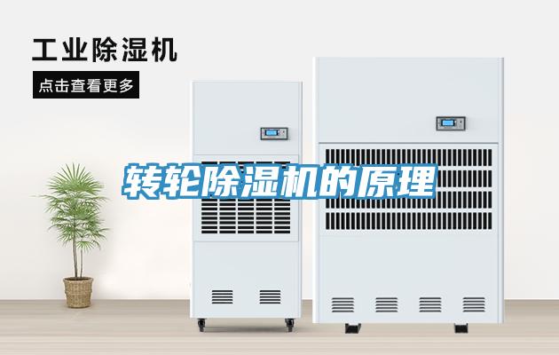 轉輪蘑菇视频网站的原理