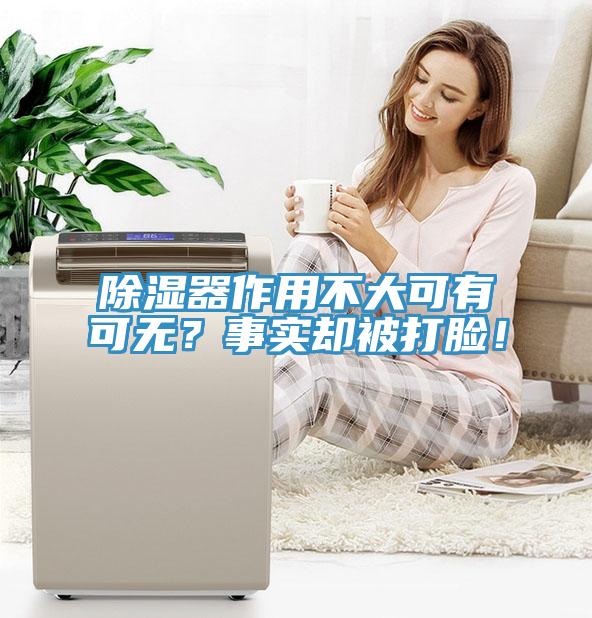 除濕器作用不大可有可無？事實卻被打臉！