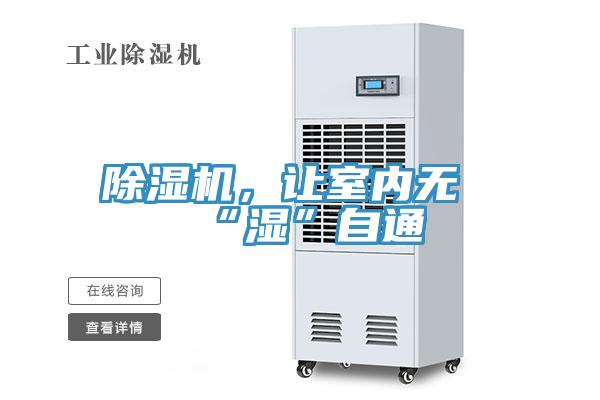 蘑菇视频网站，讓室內無“濕”自通