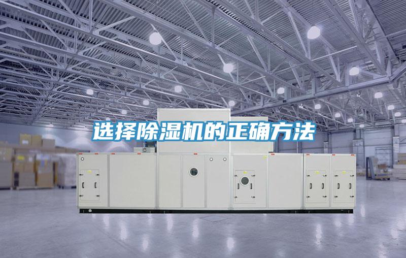選擇蘑菇视频网站的正確方法